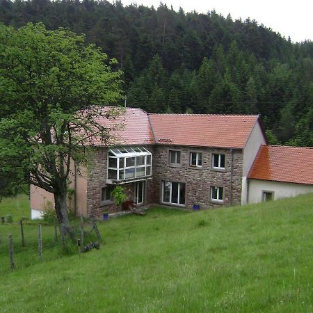 Wangenbourg-Engenthal Gite Hansel De La Ferme Du Schneeberg מראה חיצוני תמונה