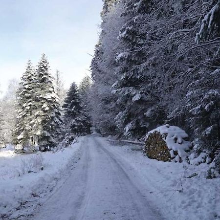 Wangenbourg-Engenthal Gite Hansel De La Ferme Du Schneeberg מראה חיצוני תמונה