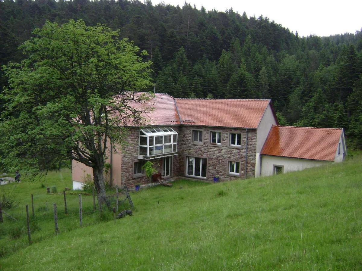 Wangenbourg-Engenthal Gite Hansel De La Ferme Du Schneeberg מראה חיצוני תמונה