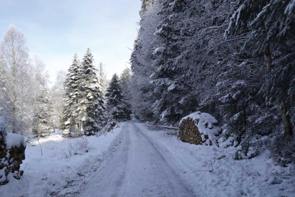 Wangenbourg-Engenthal Gite Hansel De La Ferme Du Schneeberg מראה חיצוני תמונה