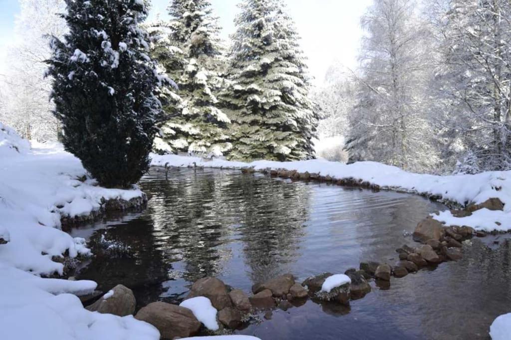 Wangenbourg-Engenthal Gite Hansel De La Ferme Du Schneeberg מראה חיצוני תמונה