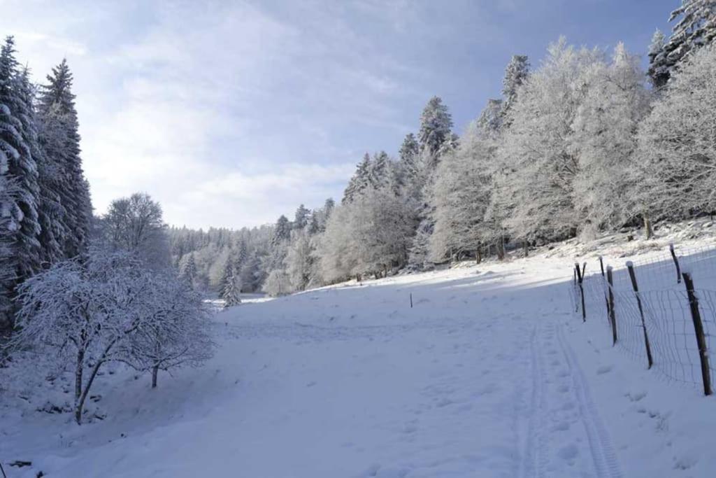Wangenbourg-Engenthal Gite Hansel De La Ferme Du Schneeberg מראה חיצוני תמונה